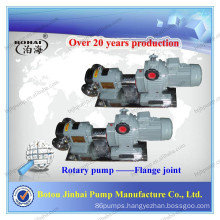 Hygienic rotary lobe pumps positive displacement pumps